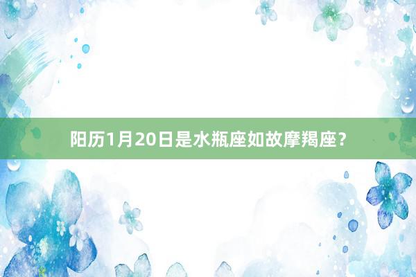 阳历1月20日是水瓶座如故摩羯座？