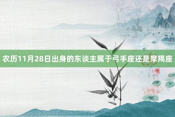 农历11月28日出身的东谈主属于弓手座还是摩羯座
