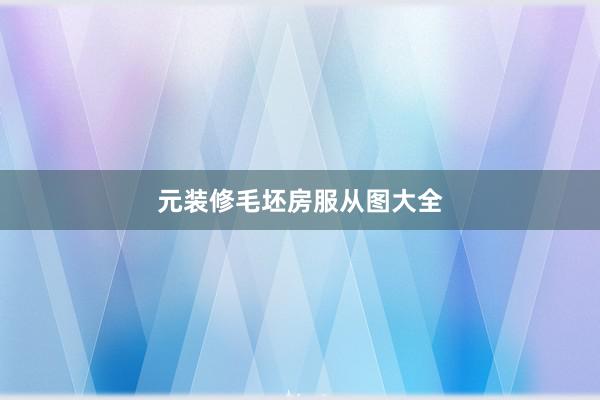 元装修毛坯房服从图大全