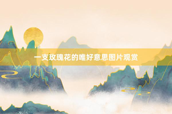 一支玫瑰花的唯好意思图片观赏