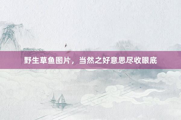 野生草鱼图片，当然之好意思尽收眼底